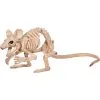 CREEPY CROUCHING MOUSE SKELETON 1 CREEPY CROUCHING MOUSE SKELETON -Spirit Halloween SEZ28341