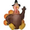 AIRBLOWN HARVEST TURKEY LG