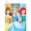 DISNEY PRINCESS LOOT BAGS 2 DISNEY PRINCESS LOOT BAGS -Spirit Halloween am371621