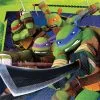 TMNT LUNCH NAPKINS 16 PACK -Spirit Halloween am511194