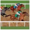 HORSE RACING NAPKINS LUNCHEON -Spirit Halloween bg58146