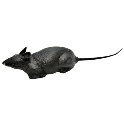 RAT INDIVIDUAL