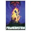 FRANKENSTEIN POSTER CLING 1 FRANKENSTEIN POSTER CLING -Spirit Halloween pm11380