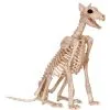 SKELETON DOBERMAN -Spirit Halloween se18386