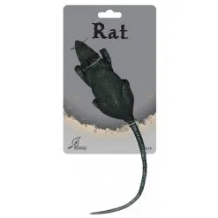 RAT CARDED