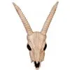 SKELETON GAZELLE HEAD -Spirit Halloween sez28051
