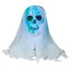 LIGHTSHOW SKULL BUST WHITE FAC -Spirit Halloween ss55314g